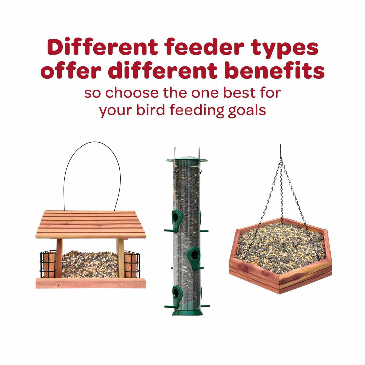 Kaytee Wild Bird Seed & Mealworm Seed Cake Food For Bluebirds, Chickadees, Woodpeckers and More, 1.4 Pound