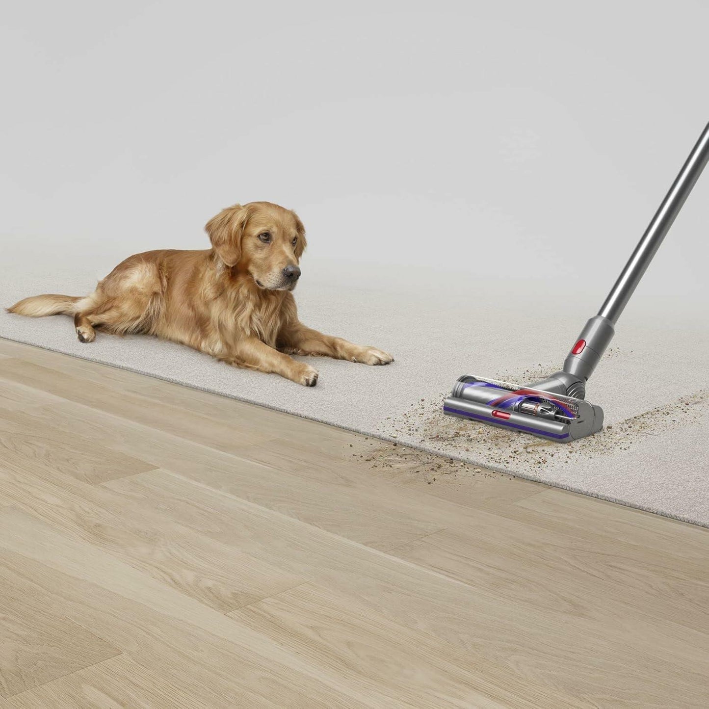 Dyson 448182-02 V15 Detect SV47 (Renewed)