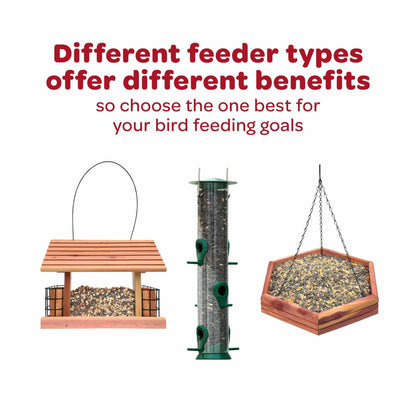 Kaytee Wild Bird Seed & Mealworm Seed Cake Food For Bluebirds, Chickadees, Woodpeckers and More, 1.4 Pound