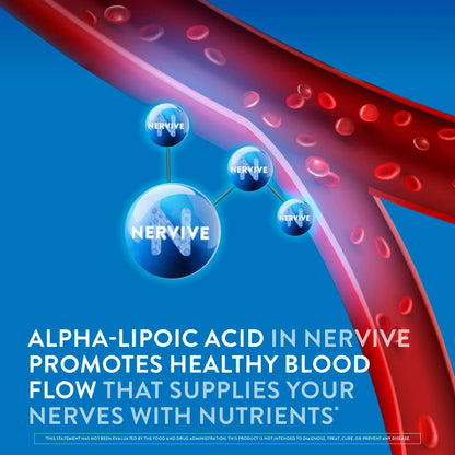 Nervive Nerve Relief, Reduces Occasional Nerve Discomfort in as Little as 7 Days, Stabbing/Pins and Needles, Burning in Hands and Feet*†, Alpha Lipoic Acid, B Vitamins, Turmeric, Ginger, 60 Tablets