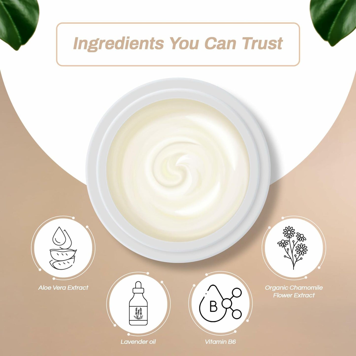 Mama Bear Oasis Lotion - Hydrating Lotion w/ Magnesium Chloride and Pure Ingredients - Fast-Absorbing and Non-Greasy Formula for Foot and Leg Comfort (Pack of 1)
