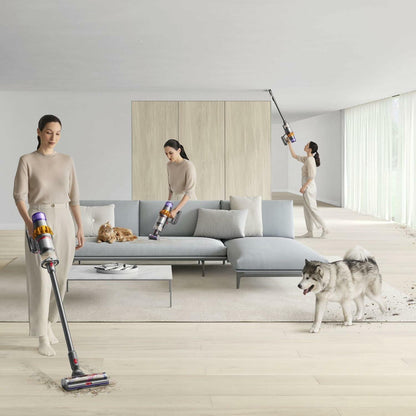 Dyson 448182-02 V15 Detect SV47 (Renewed)