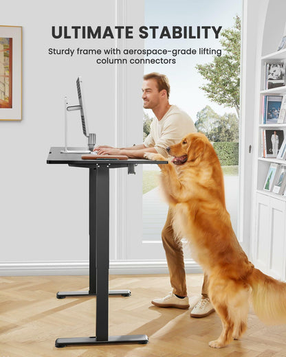 ErGear Height Adjustable Electric Standing Desk, 47.2 x 23.6 Inches Sit Stand up Desk, Memory Computer Home Office Desk with Two-Piece Desktop (Black)